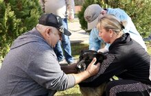 Фото 9: У Підбірцях безкоштовно провакцинували 35 котів та собак від сказу