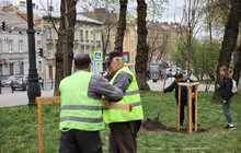 Фото 9: У сквері біля цирку висадили алею пам’яті загиблих героїв