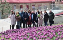 Фото 18: 200 тисяч тюльпанів Нідерланди вже подарували Львову