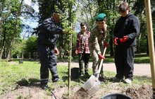 Фото 3: У Стрийському парку висадили 35 дерев у пам’ять про прикордонників, які віддали своє життя боротьбі за незалежність України