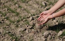 Фото 3: Купол Грибовицького полігону засіяли травою — скоро там можна буде пограти в гольф (відео)