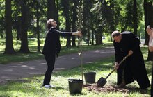 Фото 8: У Стрийському парку висадили 35 дерев у пам’ять про прикордонників, які віддали своє життя боротьбі за незалежність України