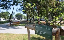 Фото 4: У сквері, поруч з Центром допомоги людям, які пережили полон і тортури, облаштували затишний громадський простір