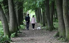 Фото 5: У парку ім. Івана Павла ІІ облаштують майданчик для вигулу собак