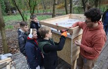 Фото 7: Котівничка з зеленим дахом та висадка дерев: як у Львові минув Тиждень сталої енергії (відео)