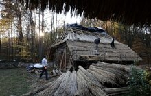 Фото 14: Музей народної архітектури та побуту у Львові реставрує цінні об’єкти (відео) 