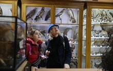 Фото 37: Міжнародний день музеїв у Львові відвідали майже 13 тисяч осіб
