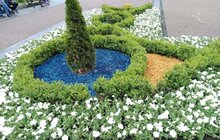 Фото 7: Біля пам’ятника С. Бандері облаштували квіткові клумби