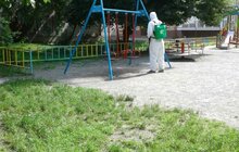 Фото 15: Комунальні служби щоденно проводять дезінфекцію у житлових будинках