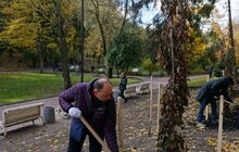 Фото 10: У Стрийському парку висадили нові дерева