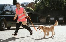 Фото 10: Маленькі львів’яни завітали до ЛКП «Лев», де піклуються про бездомних тваринок