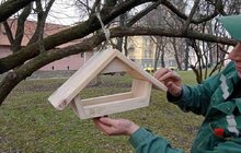 Фото 1: У міських парках та скверах для птахів встановлюють годівнички нового формату
