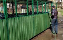 Фото 1: У Львові миють і ремонтують контейнери для відходів