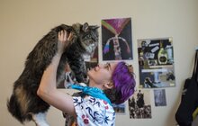 Фото 2: У Львові для переселенців та врятованих ними котів влаштували фотосесію