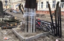 Фото 2: «В підсумку, дерев стане більше, а заміні підлягає трохи більше 40% озеленення вулиці», — О. Сладкова про роботи на вул. Пекарській