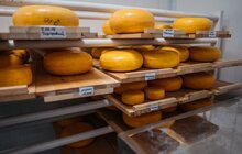Фото 20: Міський голова Львова відвідав локальний фестиваль Street Food та відзначив підприємців ринку «Шувар» за вагомий внесок у розвиток малого бізнесу