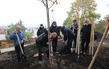 Фото 11: У Львові висадили 96 іменних дерев, присвячених загиблим Героям