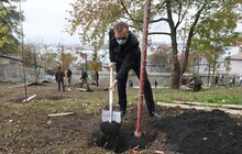 Фото 22: У Львові висадили 96 іменних дерев, присвячених загиблим Героям