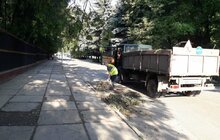 Фото 1: Комунальні служби продовжують прибирати місто від наслідків негоди