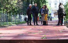 Фото 20: У парку ім. Івана Франка продовжують облаштовувати другу за важливістю доріжку за унікальною методикою