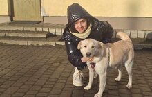 Фото 4: За місяць ЛКП «Лев» прилаштувало 27 тварин
