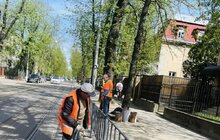 Фото 6: Цьогоріч пішохідне огородження у Львові фарбують у сірий колір: у всіх районах міста триває весняне прибирання