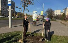Фото 4: Цієї осені на території Сихівського району посадили 45 дерев та 94 кущі