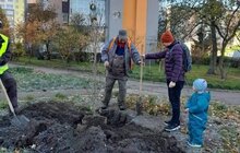 Фото 7: Цієї осені на території Сихівського району посадили 45 дерев та 94 кущі