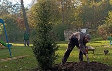 Фото 3: У шести школах та дитсадках Львова висадили дерева і кущі