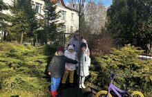 Фото 6: У шести школах та дитсадках Львова висадили дерева і кущі