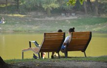 Фото 2: Майстерня міста: у Львові створили «зелену стіну» та розвіяли міфи про вертикальне озеленення