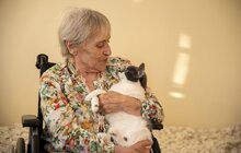 Фото 12: У Львові для переселенців та врятованих ними котів влаштували фотосесію
