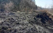 Фото 2: Два підпали у парку «Знесіння» за минулу добу: пошкоджено близько 4 га заповідної зони