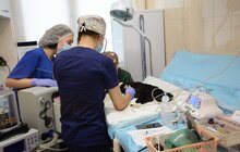 Фото 5: Відтепер в ЛКП «Лев» можна отримати сертифікат для виїзду з твариною за кордон