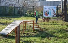 Фото 13: ЛКП «Лев» облаштувало тренувально-вигульний майданчик на вул. Промисловій
