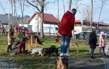 Фото 22: ЛКП «Лев» облаштувало тренувально-вигульний майданчик на вул. Промисловій