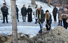 Фото 19: На Меморіалі пам’яті Героїв Небесної Сотні висадили сосни