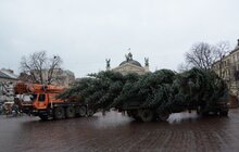 Фото 8: У Львові встановили головну новорічну ялинку: за тиждень її урочисто відкриють
