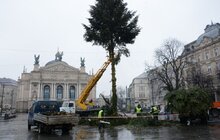 Фото 11: Головну ялинку міста демонтовують та відправлять на утилізацію