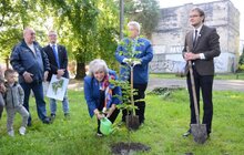 Фото 8: У Замарстинівському сквері висадили перше символічне дерево, ознаменувавши старт його реконструкції