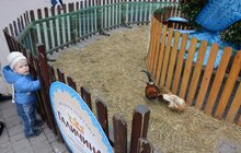 Фото 40: Великодній ярмарок-2017 у Львові
