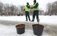 Фото 2: У парку Львова вперше використали кавову гущу для боротьби з ожеледицею