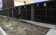 Фото 14: На початку травня у Львові відкриють Центр адопції безпритульних тварин