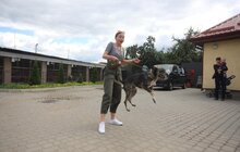 Фото 8: У Львові відомі спортсмени допомагали безпритульним тваринам