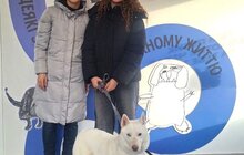 Фото 3: Понад 20 тварин із ЛКП «Лев» знайшли дім у лютому