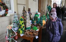 Фото 12: Загальноміська акція «Збережемо життя ялинці»