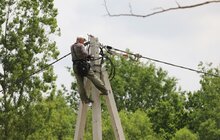 Фото 23: Реконструкція вул. Миколайчука: до кінця серпня облаштують нову дорогу