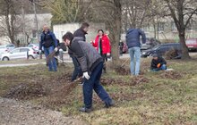 Фото 24: В лікарні швидкої допомоги організували толоку