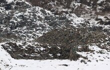 Фото 8: Візит В. Кістіона на полігон в Грибовичах