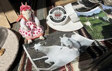 Фото 3: Крафтові сири, перепелині яйця, мікрозелень – на площі Ринок Львівський фермерський ярмарок розпочав шостий сезон (відео)